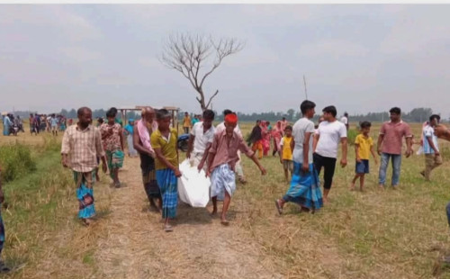 সরিষাবাড়ীতে বিদ্যুতের তার চুরি করতে গিয়ে যুবকের মৃত্যু