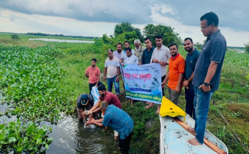 বিশ্ব পরিবেশ দিবস উপলক্ষে গাজীপুরে মাছের পোনা অবমুক্তকরণ