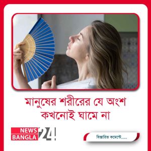 Newsbangla